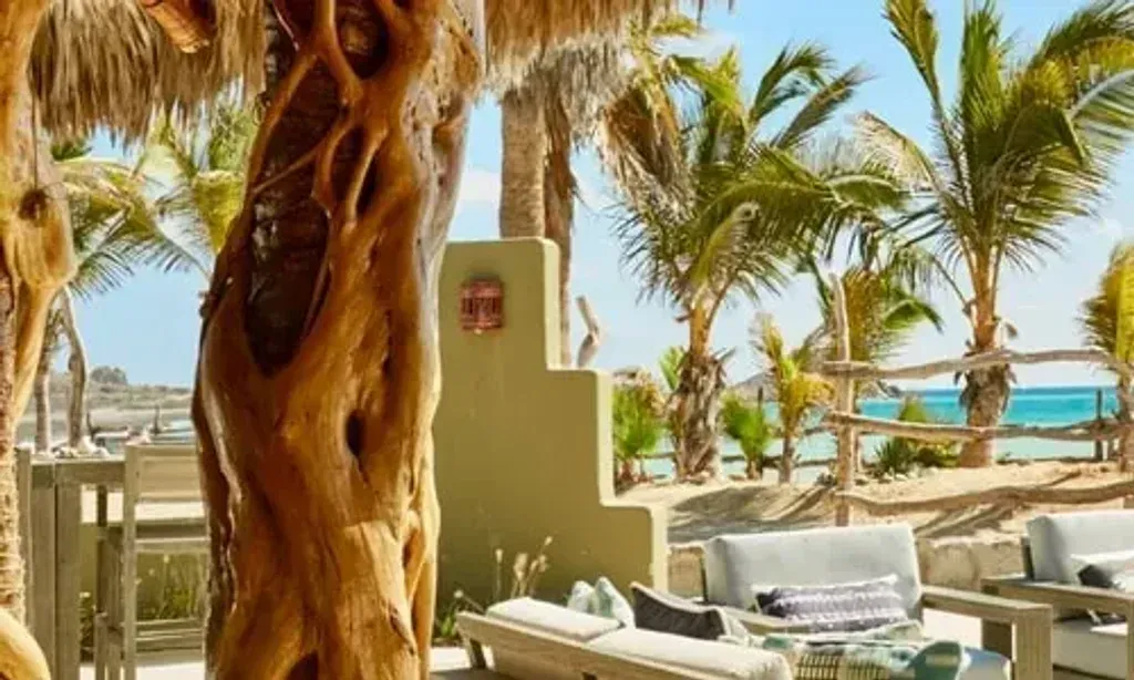Revive! Retreats — Located in the beautiful region of Baja California Sur, the retreat offers a serene escape. The specific venue, Baja Serenity, provides a tranquil atmosphere, likely with access to the natural beauty of the area, well suited to reflection and rejuvenation.