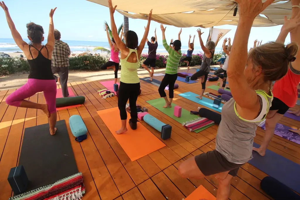 Rewild Wellness and Bodywork — Located directly on the coast of Guerrero, Mexico, Rewild Wellness and Bodywork boasts an oceanfront setting. The sound of waves is a constant companion, and the property is situated on a surf break, offering immediate access to the water. The atmosphere is one of natural immersion and tranquility, with the vibrant Mexican landscape surrounding the retreat.