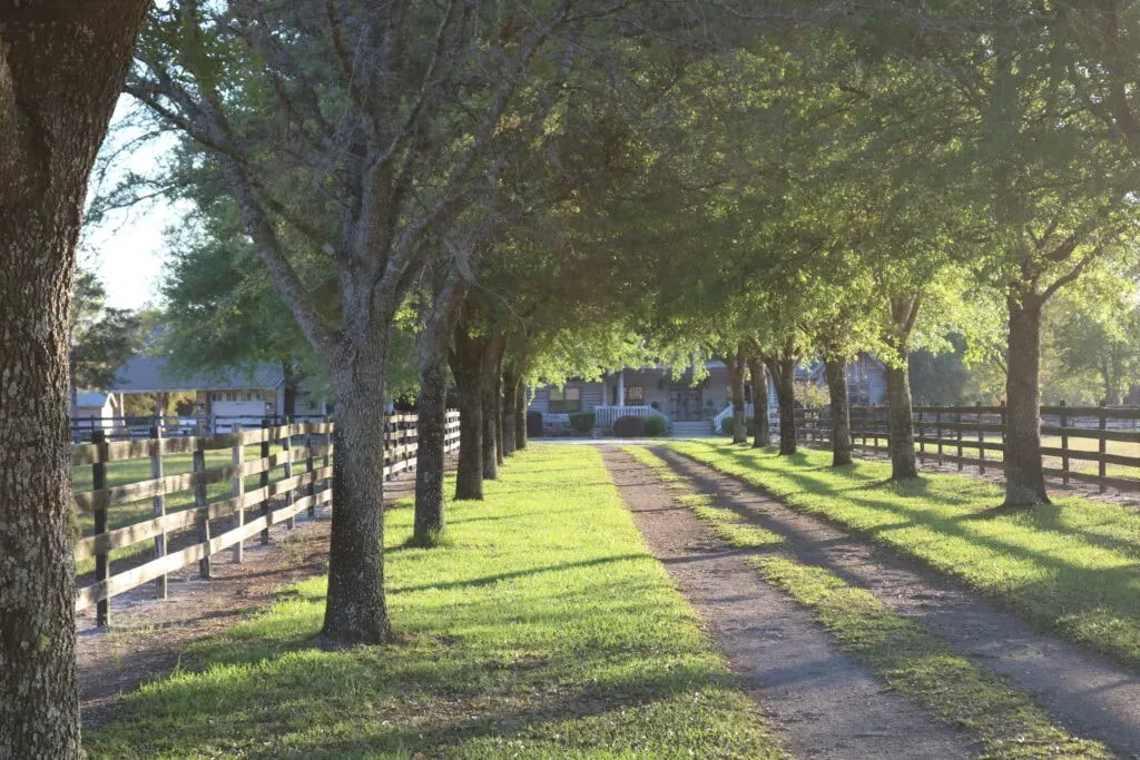 River and Roots Ranch — retreat center
