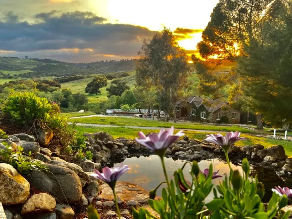 Rocas Retreat — Located in Valley Center, California, the retreat offers a natural environment conducive to unplugging and personal reflection. The exact address is provided upon booking, ensuring a sense of privacy and seclusion for guests.