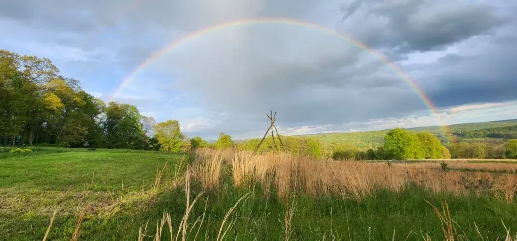 Rolling Hills Retreats — Set on an organic farm, Rolling Hills Retreats provides a serene and natural environment. The atmosphere is one of nurturing and support, designed to help visitors feel grounded and connected to the earth. Expect rolling landscapes and the peaceful sounds of rural life.