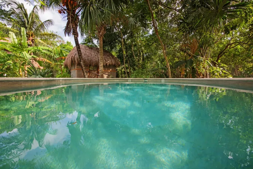 Rooted Awakening Yoga & Wellness — Rooted Awakening Yoga & Wellness is situated within the Holistic Tikun jungle retreat on Cozumel Island, Mexico. This lush setting provides a tranquil escape, immersing guests in nature's embrace. The center is conveniently located within walking distance of pristine beaches, offering a blend of jungle serenity and coastal beauty.