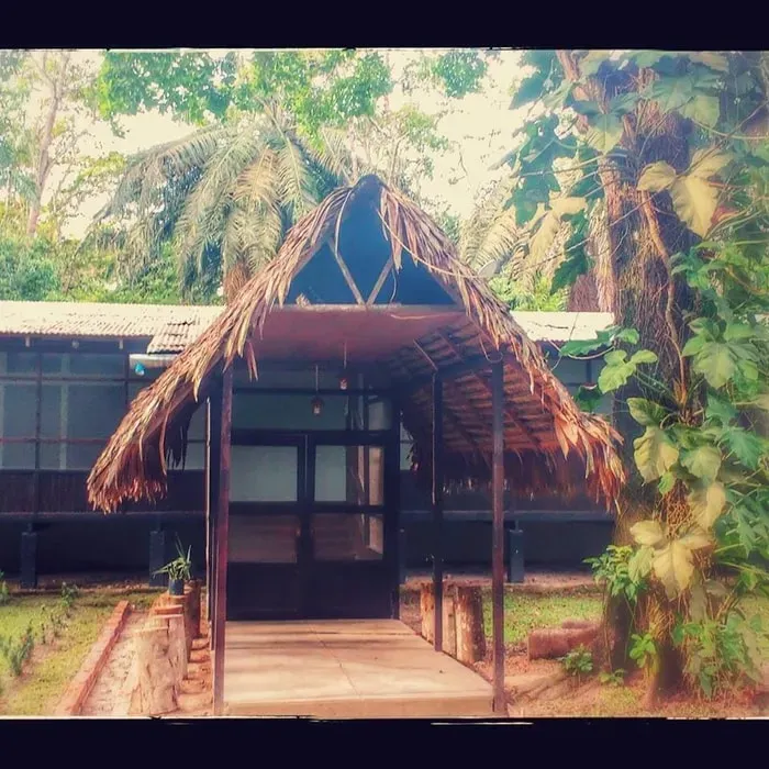 SACRED COLIBRI Divine Healing Inner Work and Yoga — The center is situated within an eco-resort close to Pucallpa, Peru, offering a natural and comfortable environment. Guests can enjoy the serene Amazonian surroundings, complete with a botanical garden and a swimming pool, providing a peaceful backdrop for healing and relaxation.