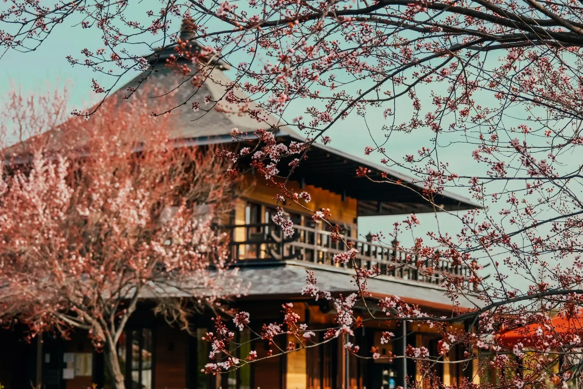 Sacred Creations & Solutions — retreat center