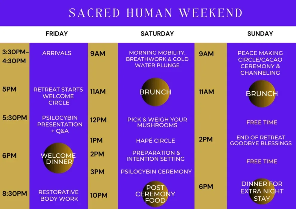 Sacred Human Weekends — The retreats are held in beautiful houses overlooking the Atlantic Ocean, offering a serene backdrop for reflection and healing. You can expect to feel the sea breeze and enjoy comfortable accommodations, creating a peaceful sanctuary away from daily life. Specific locations are provided upon application acceptance.