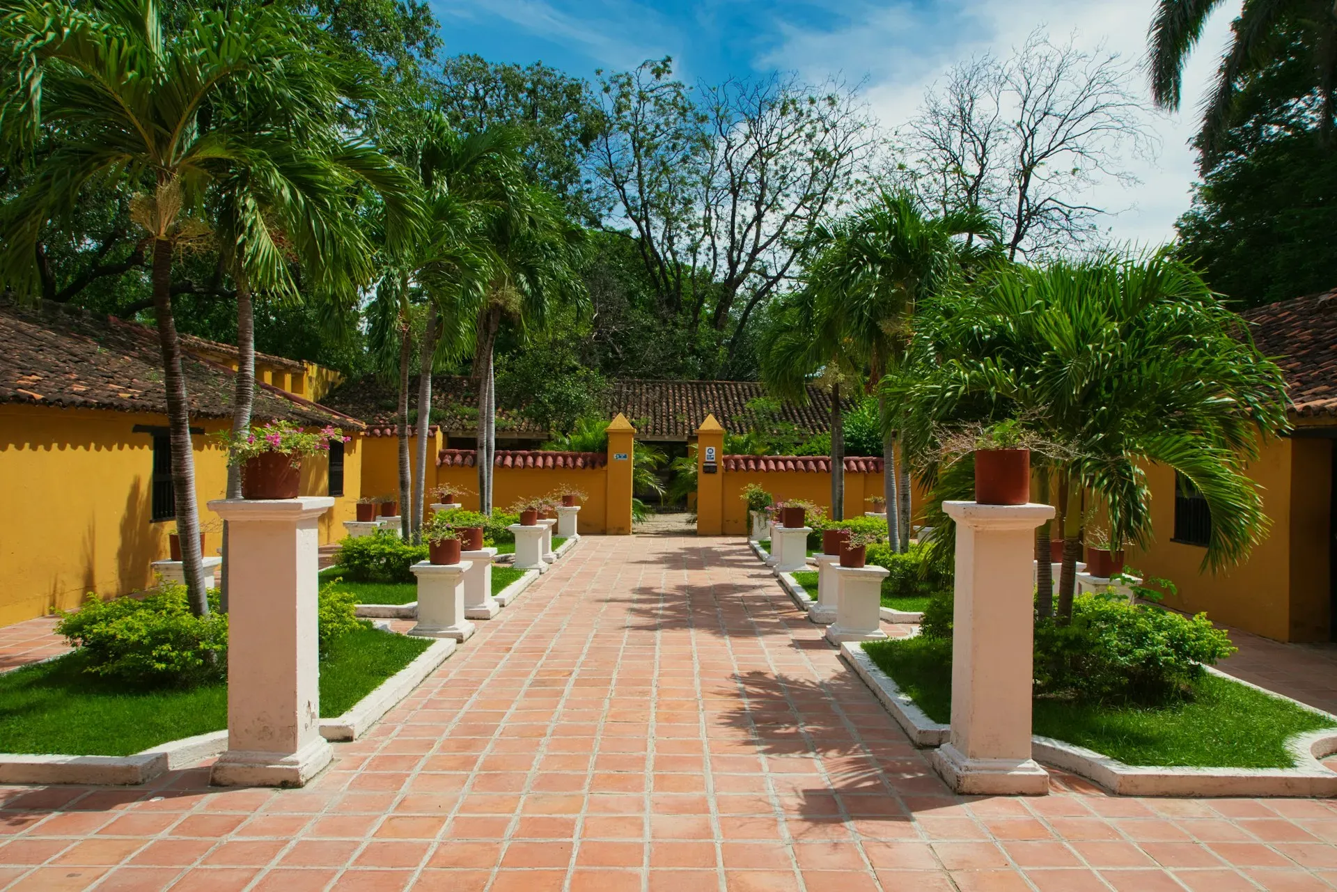 Sacred Mushroom Colombia — Located in La Tigrera, on the route to Minca, the center is immersed in a vibrant tropical landscape. Expect lush greenery, warm temperatures, and the sounds of nature as your backdrop for contemplation and practice.