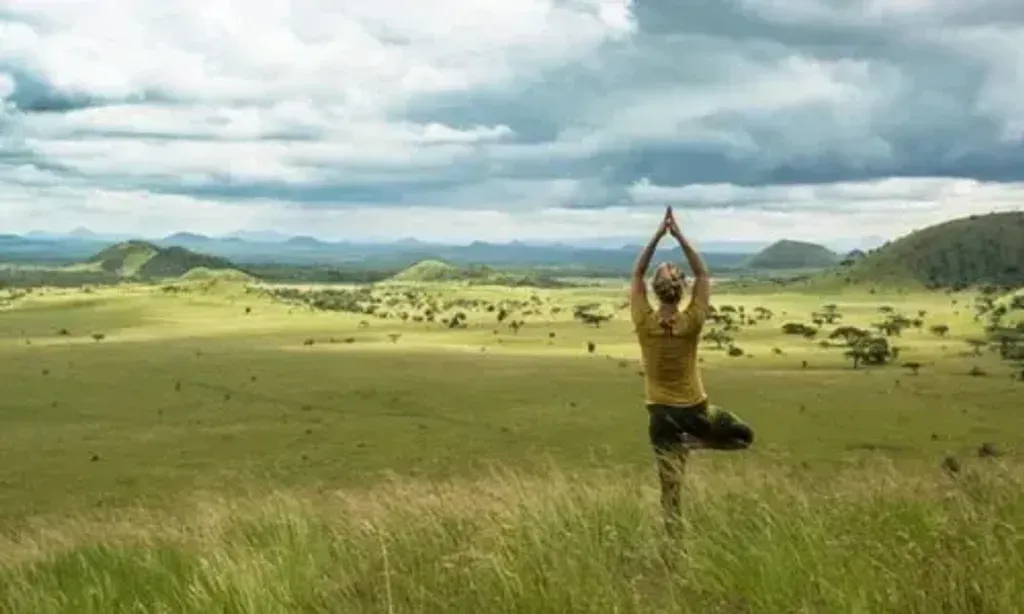 Safari and Yoga