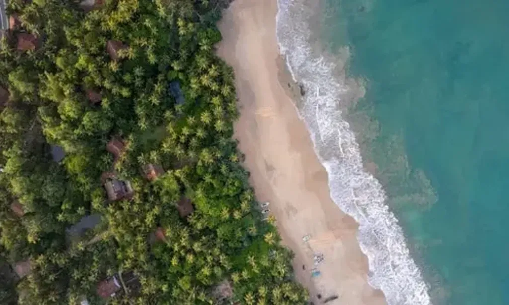 Sama — Sama is situated in Kosgoda, a quiet beach town on Sri Lanka's southwestern coast. The resort is part of a nature sanctuary, bordering an ancient forest, with the ocean just steps away. The atmosphere balances the tranquility of nature with the vibrant energy of beach life.