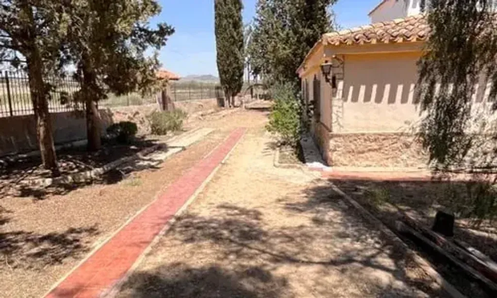 Sana Sanctuary — Located in the serene area of Casas Carcelén, Sana Sanctuary provides a peaceful rural backdrop for reflection and connection. The environment encourages harmony with nature, offering a quiet escape from daily life.