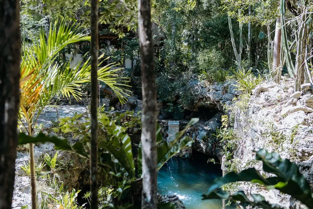 Sananda Oneness — This eco-habitat is set within the lush Mexican jungle of Chemuyil, a small town conveniently located between Playa del Carmen and Tulum. The atmosphere is one of deep connection to nature, with facilities designed to integrate seamlessly into the natural environment, offering a peaceful and grounding experience.