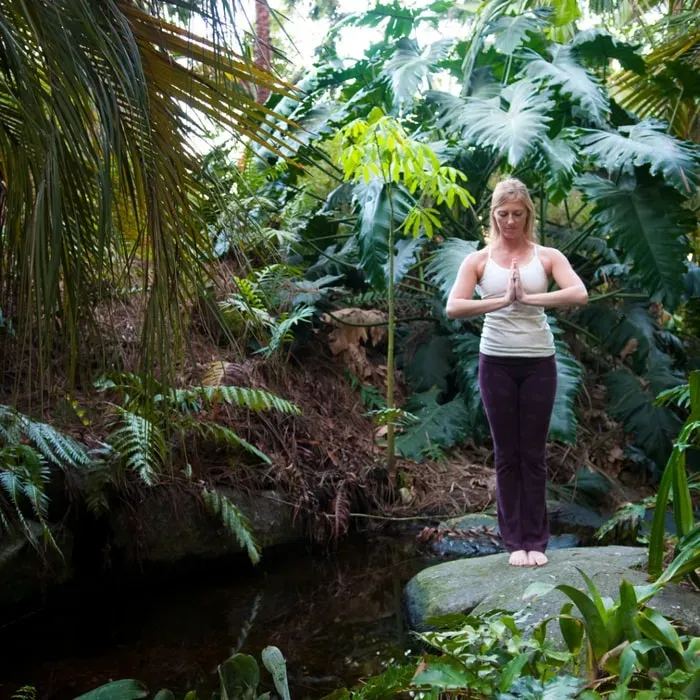 Sapana Yoga — The Shankara Retreat Center is set in a quiet residential neighborhood in Platanillo de Baru, surrounded by rich tropical forest. A year-round stream flows through the property, featuring a natural swimming hole and leading to a beautiful waterfall. The atmosphere is one of serene immersion in nature, with ample chill-out spaces and hammocks for relaxation.