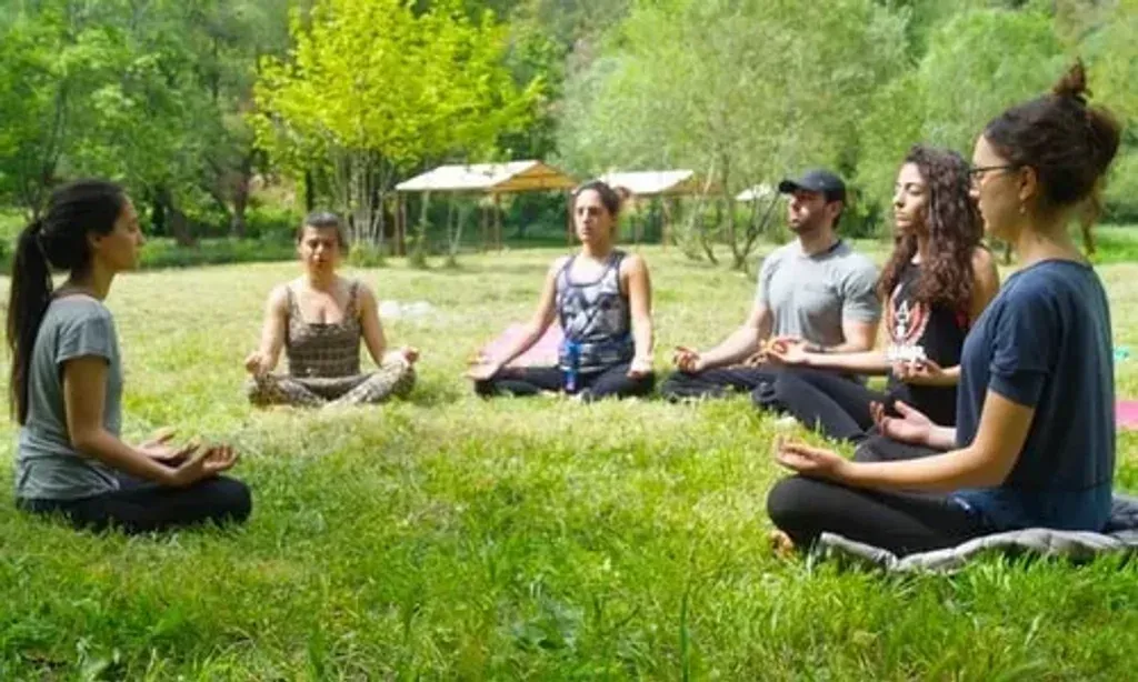 SARVEDA — SARVEDA organizes retreats in various locations across India, including Delhi, Dharamsala, and McLeod Ganj. While specific settings will vary, participants can expect clean and decent accommodations, typically in three-star or higher establishments, providing a comfortable base for their practice and exploration.
