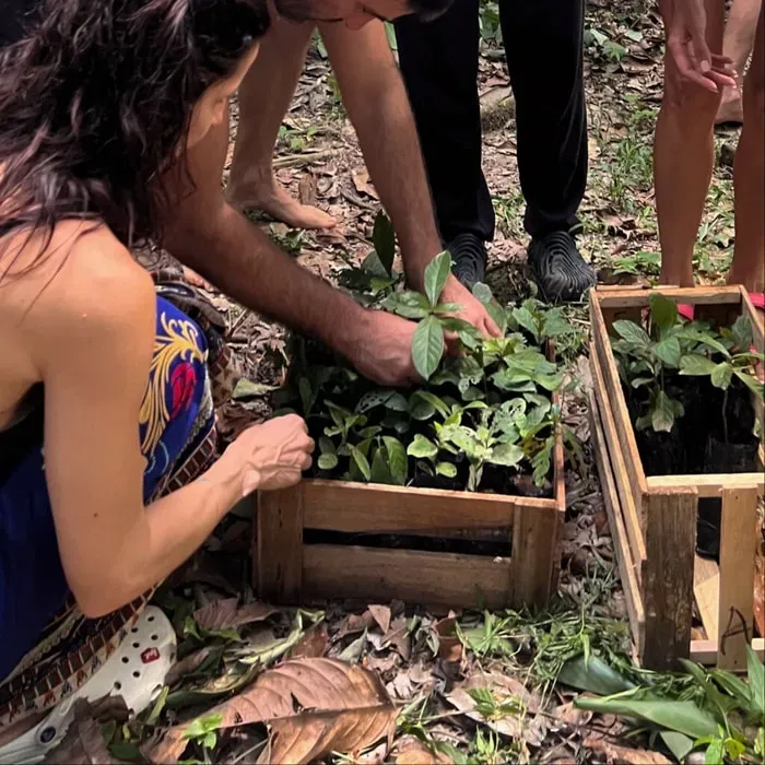 Satya — set deep within the Peruvian Amazon Rainforest, Satya is surrounded by an abundance of lush, vibrant nature. The atmosphere is one of profound tranquility and natural immersion, where the sounds of the jungle become a constant, soothing presence. This remote location ensures a complete disconnection from urban life, fostering an environment conducive to deep introspection and healing.
