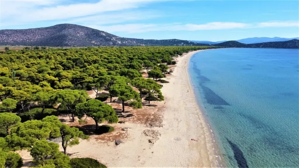 Seaside Adventures — Located in Marathon, Greece, this center provides a vibrant backdrop for active exploration and relaxation. Guests can expect a coastal environment, likely offering opportunities for outdoor activities and enjoying the Mediterranean climate.