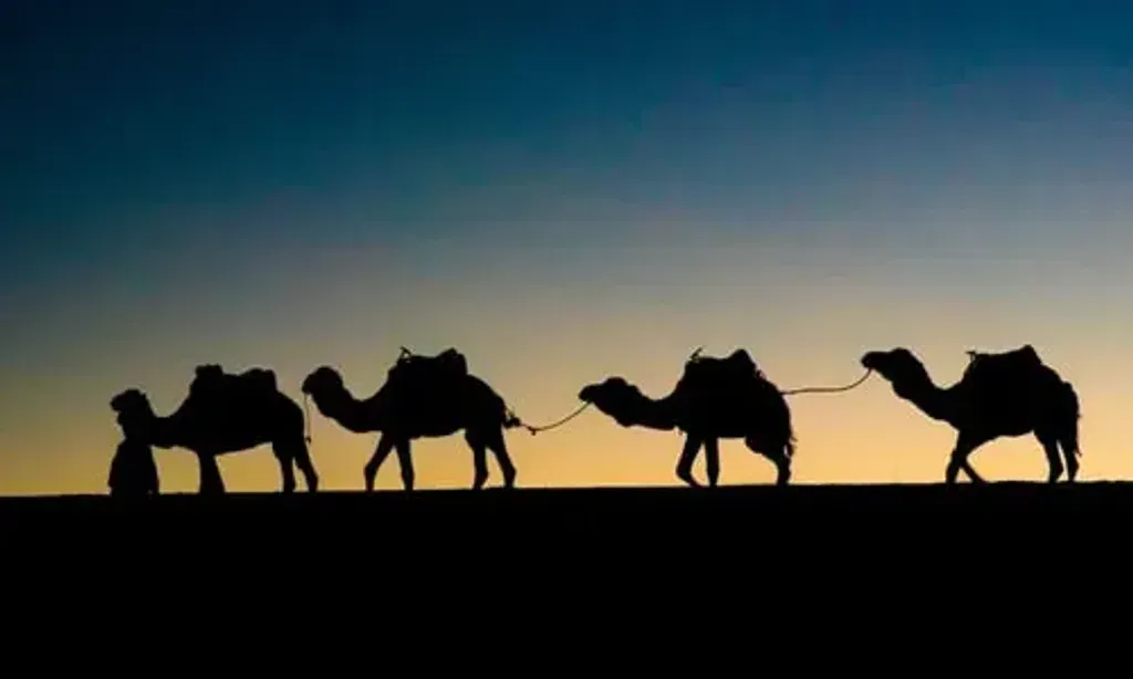 Self Led Life — Merzouga is a small Moroccan village in the Sahara Desert, known for its vast Erg Chebbi dunes. The atmosphere is one of profound tranquility and natural beauty, offering a stark yet inspiring backdrop for introspection and personal growth. Expect starry nights and the quietude of the desert.