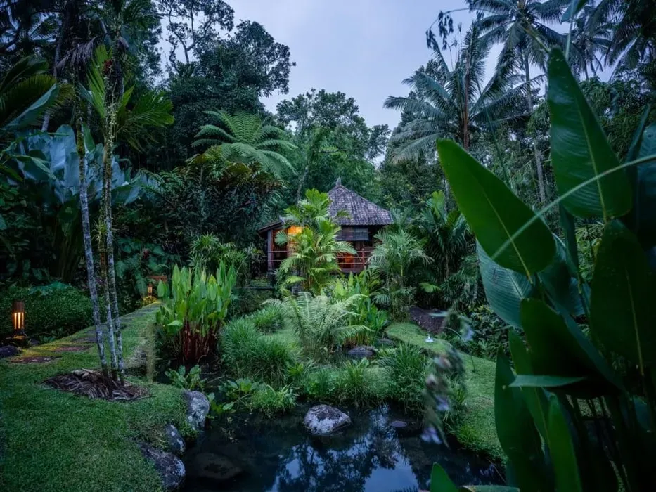 Serenity Bliss Bali — The retreat is set within Bali Eco Stay, an intimate boutique resort spread across five acres of captivating Balinese jungle and rice fields. It's described as a fully isolated oasis of peace, where guests can immerse themselves in the sounds of waterfalls, jungle insects, and the gentle breeze swaying coconut trees.