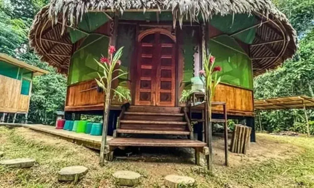 Shamanflora — Shamanflora is set within the vibrant, lush expanse of the Peruvian Amazon rainforest, providing an immersive and tranquil backdrop for healing. The natural surroundings are integral to the experience, fostering a deep connection with nature and a sense of sacred space away from the distractions of modern life.