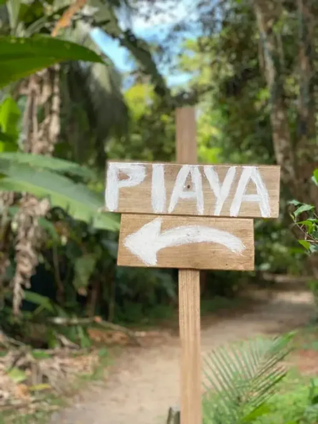 Shamanic place — Located on Av. Puerto Viejo, the center is set in a vibrant coastal area, just a 10-minute walk from the beach. The surrounding environment offers a tropical backdrop for introspection and healing, with the sounds of nature and the ocean nearby.