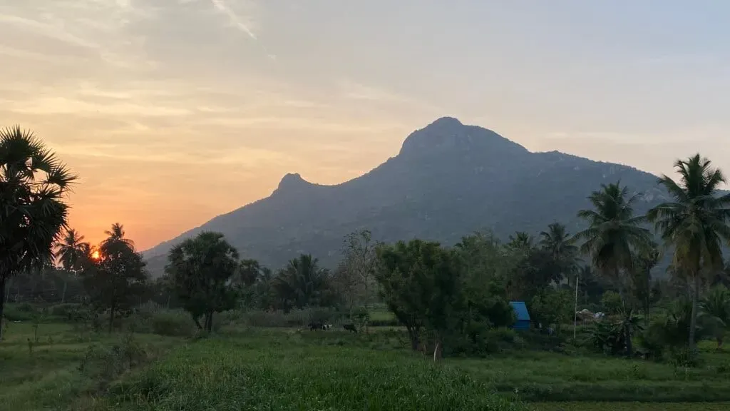 Silence is my Nature — As an online offering, "Silence is my Nature" allows you to create your own sacred space for practice, wherever you are. This virtual environment fosters a sense of personal retreat, free from external distractions, allowing for deep introspection and connection.