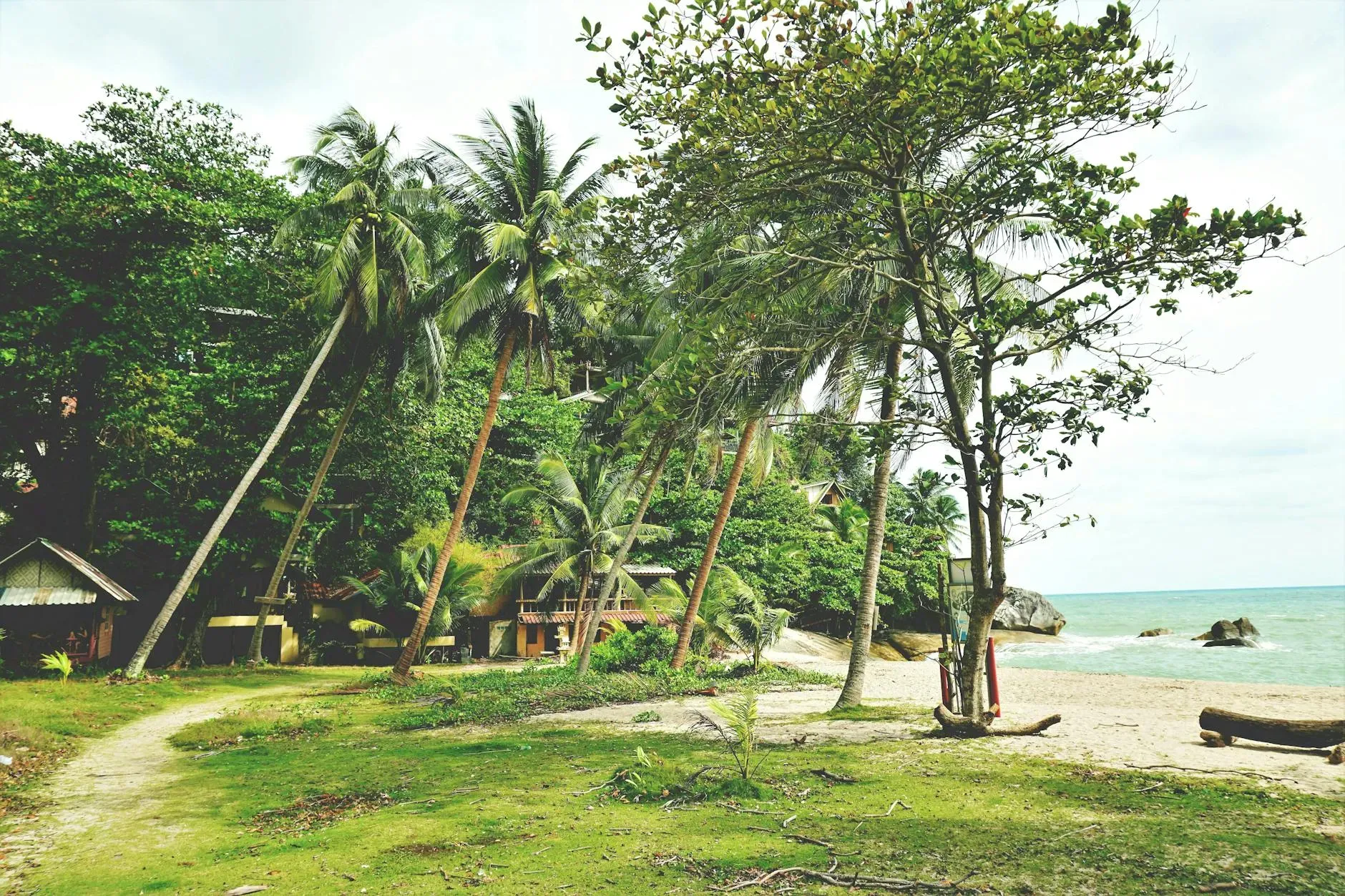 Sirius Retreats — set within a lush jungle setting, Sirius Retreats is surrounded by the vibrant tropical nature of Koh Phangan. The tranquil environment, complete with garden views and peaceful communal areas, fosters a deep sense of connection to the natural world, creating an ideal atmosphere for introspection and healing.