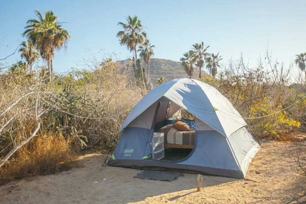 Sofía Alonso — The retreat is an eco-sanctuary set between the desert and the Pacific Ocean, surrounded by palm trees and the refreshing ocean breeze. Located on the Pacific side of Los Cabos, it offers a serene and natural environment designed to foster connection with the outdoors.