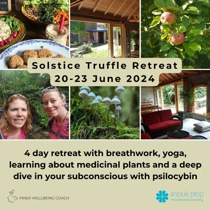 Solstice Psychedelic Truffle Retreat — The retreat is situated in a beautifully renovated, rustic traditional inn, surrounded by the rolling hills, lush plants, and grazing cows of Noorbeek. This natural setting provides a tranquil backdrop for introspection and offers plenty of opportunities for nature walks during free time.