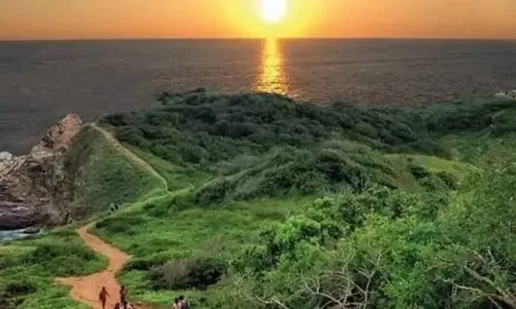 Soma Free Retreats — Located in Mazunte, Oaxaca, Mexico, the center boasts a beautiful coastal setting. Guests can enjoy ocean views and direct beach access, providing a tranquil backdrop for their retreat experience. The natural environment is integral to the healing journey offered here.