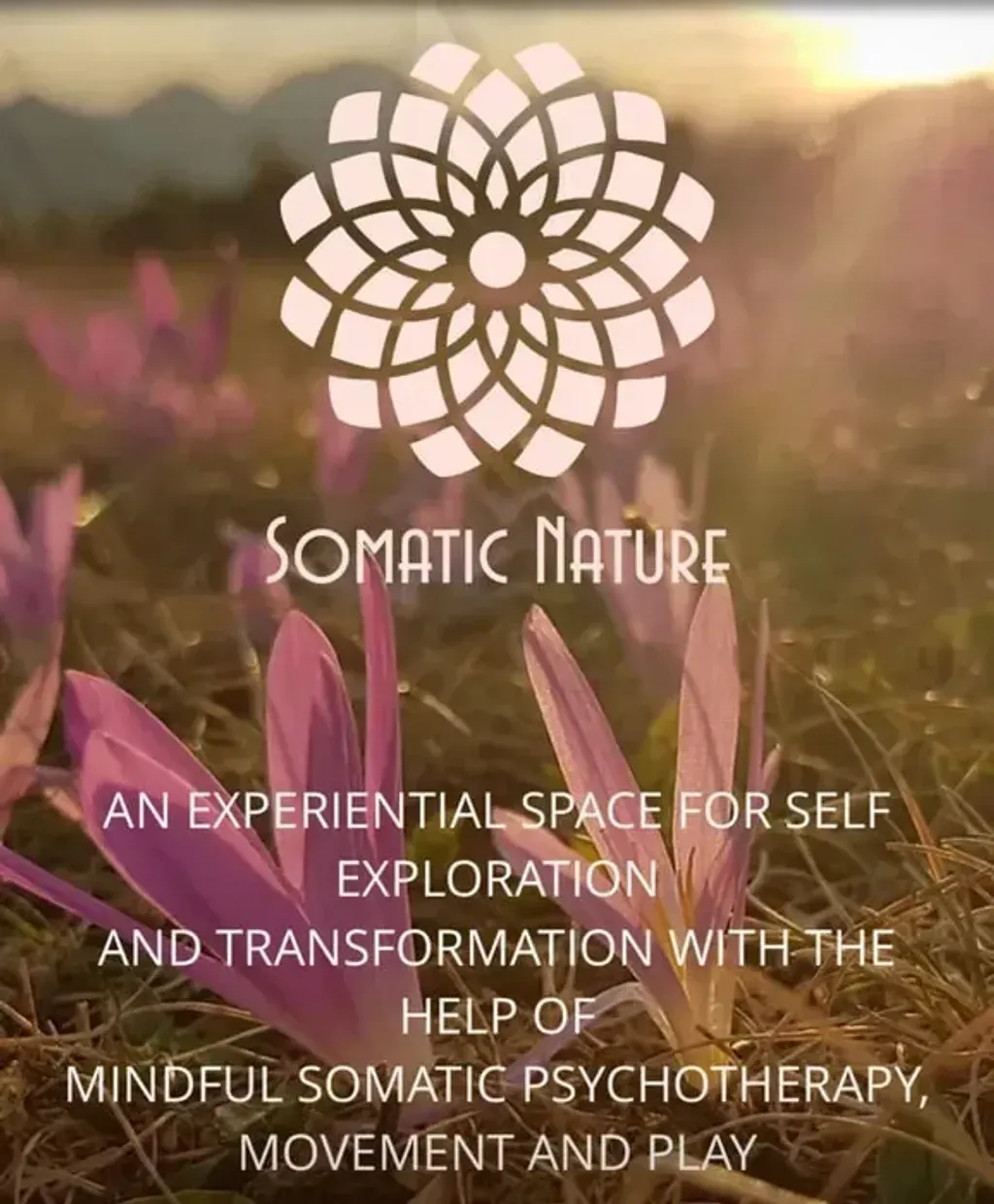 Somatic Nature — Somatic Nature is located in Totnes, a market town and civil parish in the South Hams district of Devon, England.