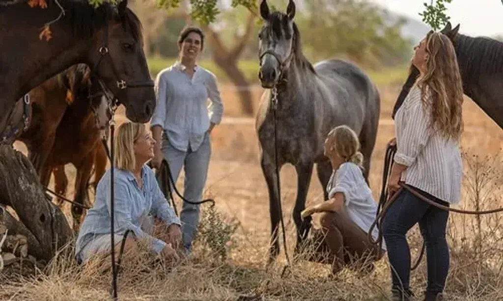 Son Cavalls — set on the beautiful island of Mallorca, Son Cavalls boasts natural surroundings with lush gardens and open spaces. Guests can enjoy panoramic views of the Mallorcan landscape and golden sunsets, providing a serene backdrop for reflection and personal growth. The direct access to paddocks housing 35 horses further integrates the natural environment into the retreat experience.