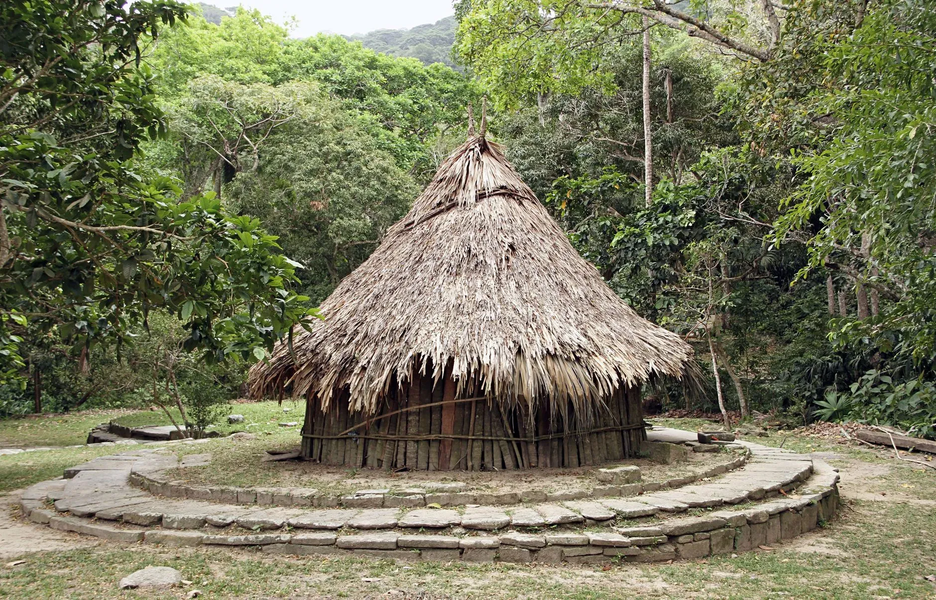 Sonido Selva