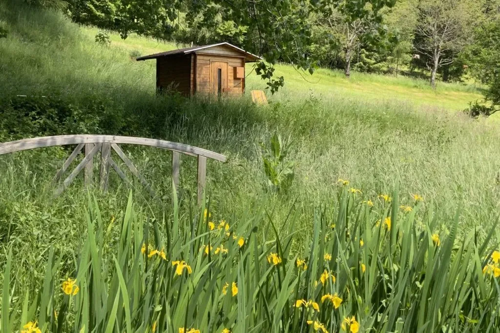Sophie Huppert — set in the picturesque Black Forest of Germany, the center provides a tranquil and natural backdrop for introspection and personal growth. The location in Simonswald offers a peaceful escape from daily distractions, allowing for deep connection with nature and oneself.