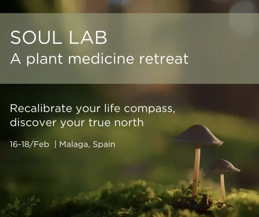 Soul Lab Retreats — Perched in the mountains of Andalucia, the retreat is surrounded by lush forest, offering a serene and private environment. The natural beauty provides ample opportunity for quiet contemplation and connecting with the earth.