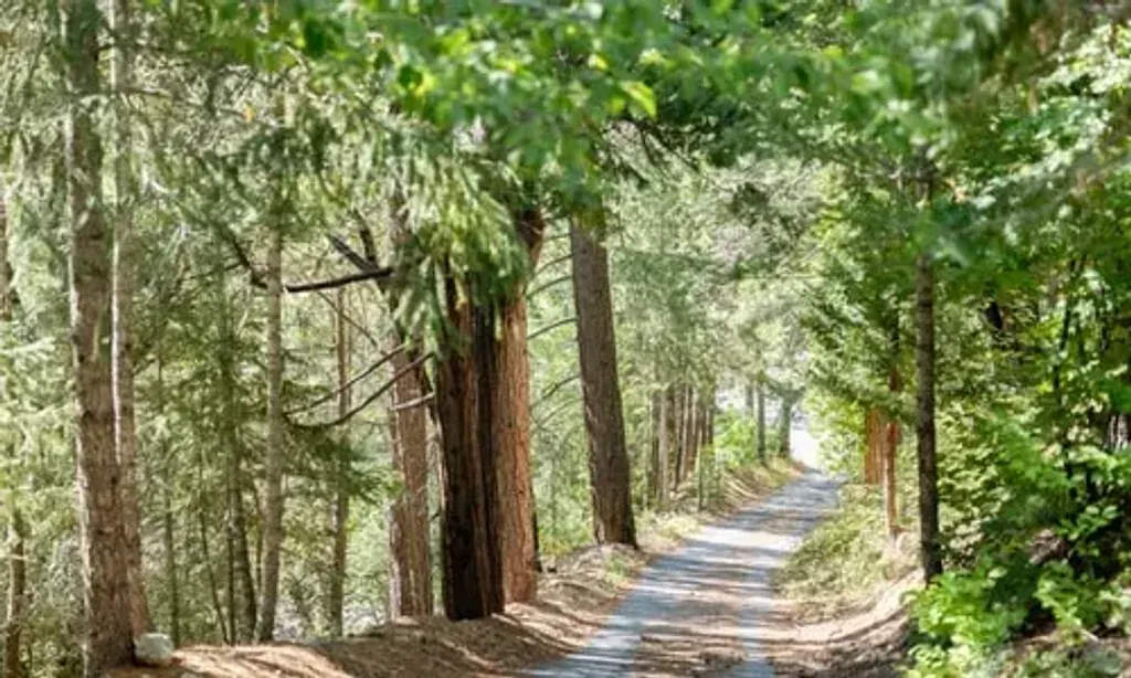 Spiritual Alignment — Spiritual Alignment is set within 320 acres of secluded mountain land in the Northern California Sierra Mountains. The property is characterized by flowing creeks, ancient oaks, and towering pines, creating a serene and energetically potent environment. Designated meditation spots and elemental sanctuaries are scattered throughout, enhancing the natural, meaningful atmosphere.