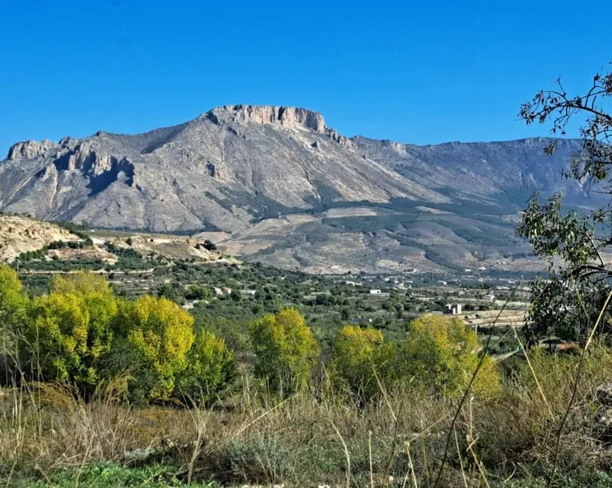 Starlight Retreats — Starlight Retreats is situated in a quiet, beautiful natural environment within the serene hills of Andalusia. The remote location encourages a sense of peace and offers ample opportunity for reflection and connection with nature, away from the distractions of daily life.
