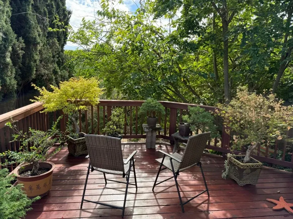 Summer MacCool, LLC — Based in Martinez, California, Summer MacCool, LLC also offers online sessions, providing flexibility for participants. The physical location's atmosphere is not detailed, but the focus is clearly on internal processing and guidance.
