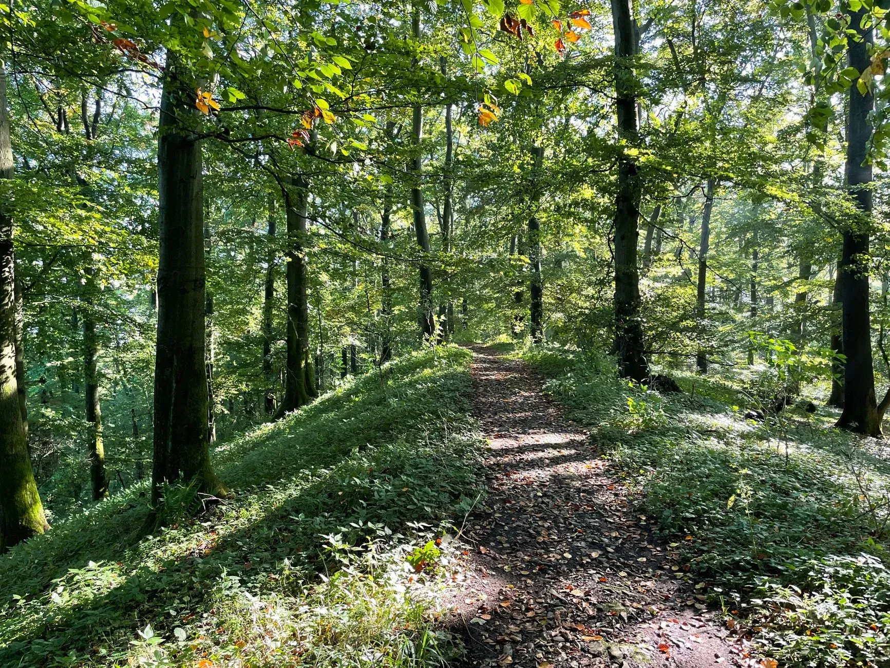 Susanne Stadler — retreat center