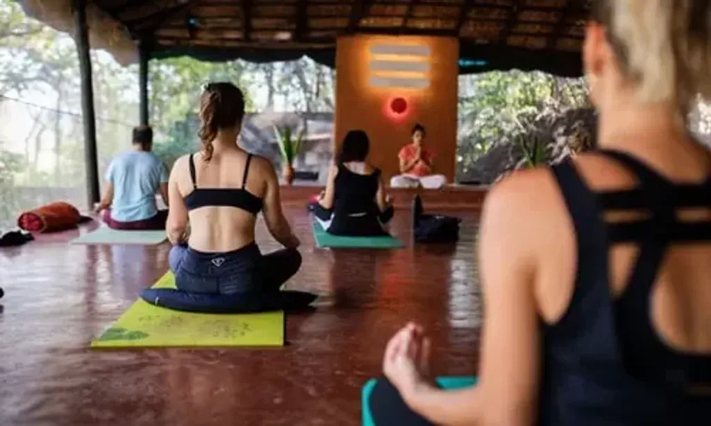 Swan Yoga Retreat — The retreat is set in a lush, tropical environment in Assagao, Goa, characterized by beautiful Goan forests, tall coconut, and teak trees. The ambiance is described as calm, friendly, and passionate, providing a divine energy for practicing and experiencing yoga.