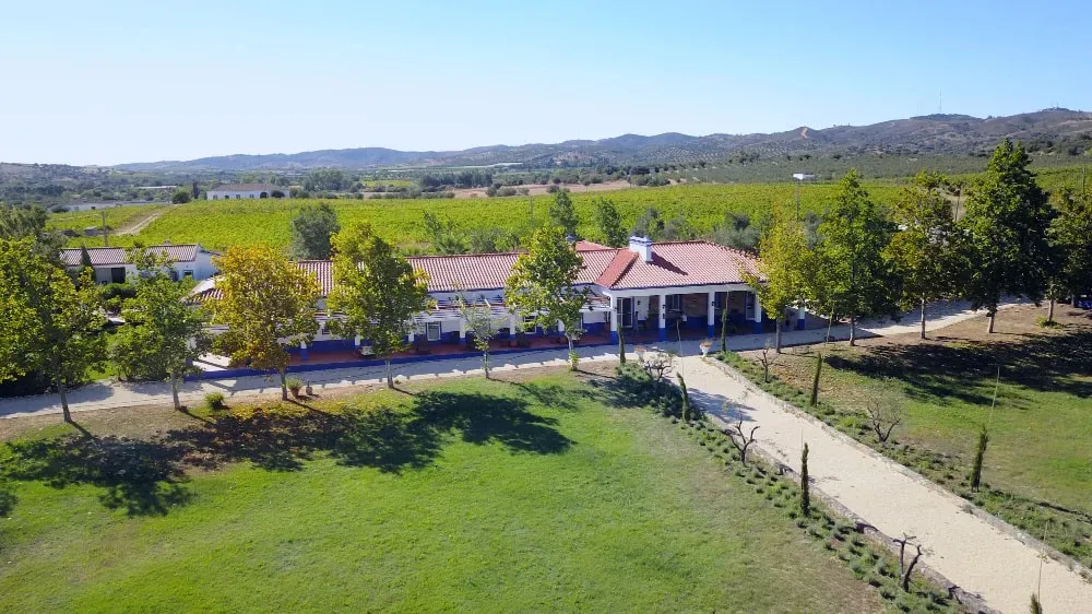 Tabula Rasa Retreat™ — set in the serene landscape of Quinta da Fé, the retreat provides a tranquil and supportive environment. The focus is on creating a space where guests can feel safe, comfortable, and free from judgment while engaging in their healing journey.