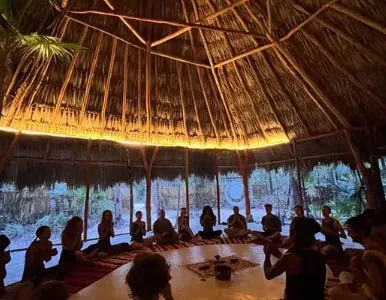 tantra therapy school — Sanctuary-Om is set in the ancient Mayan tropical jungle of Tulum, Mexico, just two miles from town. It offers a true refuge in a natural and mystical atmosphere, complete with exuberant nature and pristine cenotes (natural pools). The environment is designed to facilitate body, mind, and spirit alignment and restoration, fostering a harmonious symbiosis between humans and nature.