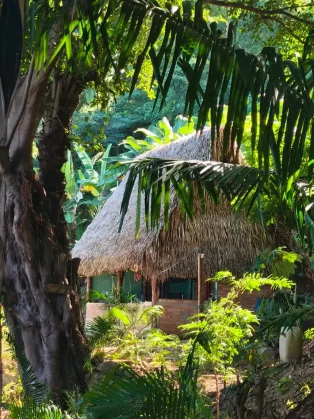 Tatei Experiencias — set where the lush jungle converges with the sea, Tatei Experiencias is set amidst the natural beauty of Pizota, Mexico. Rustic, open-air cabins are thoughtfully placed throughout the forest, providing an immersive experience. The landscape features gentle to moderate jungle paths, ocean vistas, and the constant soundtrack of birdsong and ocean waves, fostering an atmosphere of tranquility and deep connection to the environment.