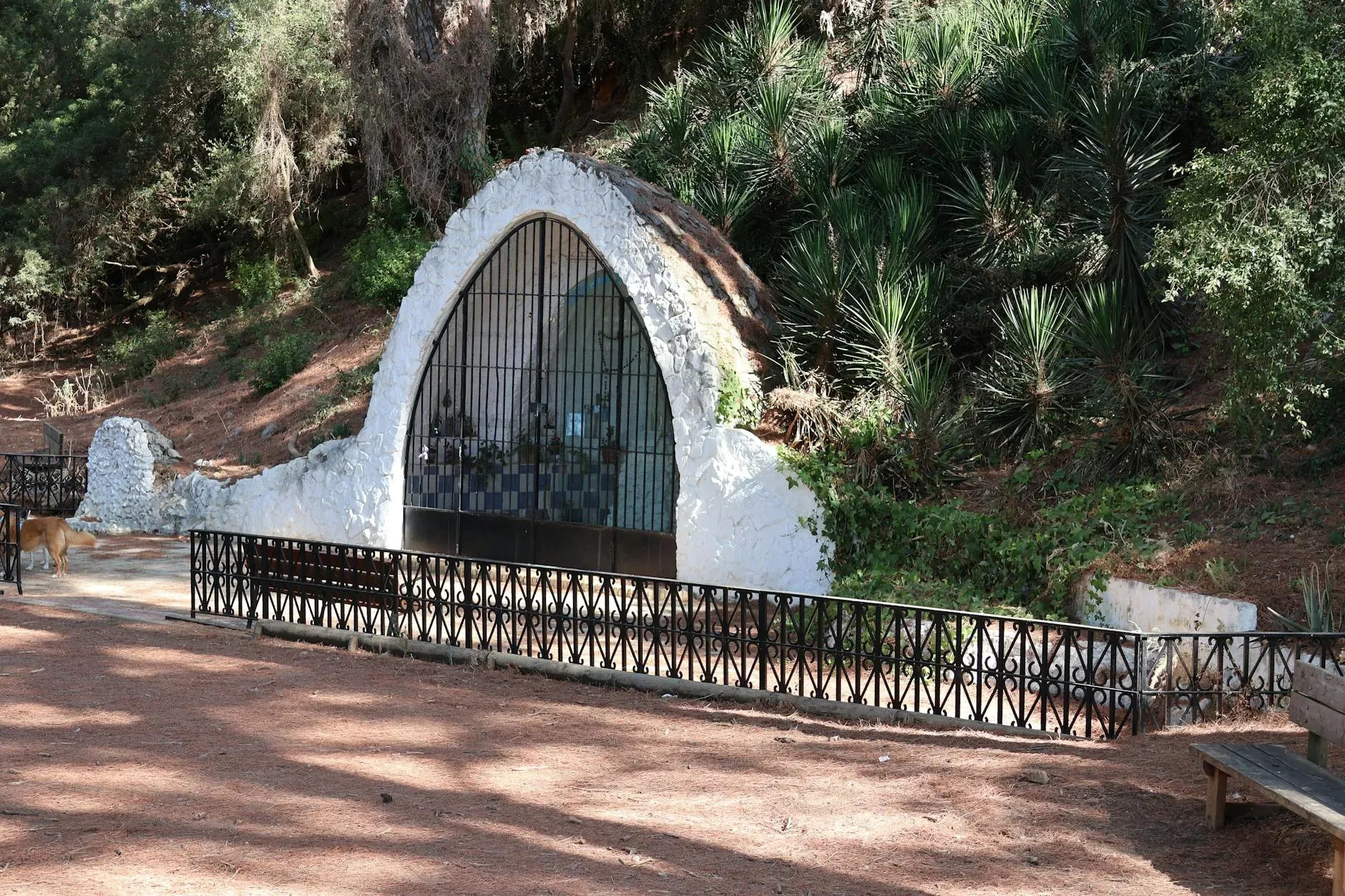 The Allied Space — The center is located at Suryavana, a beautifully restored country house set amidst 14 hectares of olive and almond trees. This peaceful and serene environment is close to forests and natural landscapes, offering a tranquil escape. The property also boasts its own vegetable garden and fruit trees, enhancing the connection to nature.