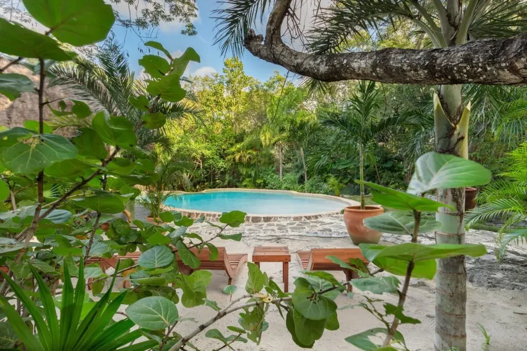The Brand Storyteller — The Brand Storyteller is set within a vibrant jungle sanctuary in Chemuyil, Tulum, Quintana Roo, Mexico. The atmosphere is one of natural immersion and tranquility, with open-air gathering spaces, nature paths, and quiet nooks designed for rest and contemplation. Lush greenery surrounds the property, creating an environment that fosters presence and deep restoration.