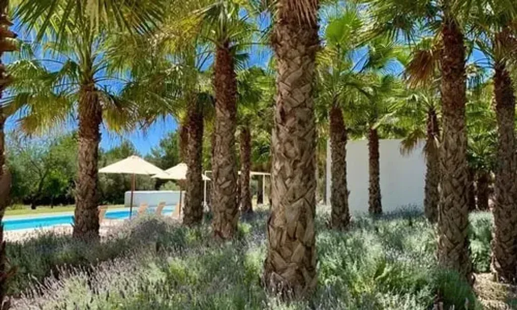 The Compassion Coach — The retreat is set within a spacious private villa in Illes Balears, offering a truly Ibizan experience. Surrounded by natural beauty, including fragrant lemon groves and the vivid red earth of the Ibizan countryside, guests can also enjoy distant views of the sea. This environment fosters a deeply peaceful atmosphere, ideal for relaxation and personal reflection.