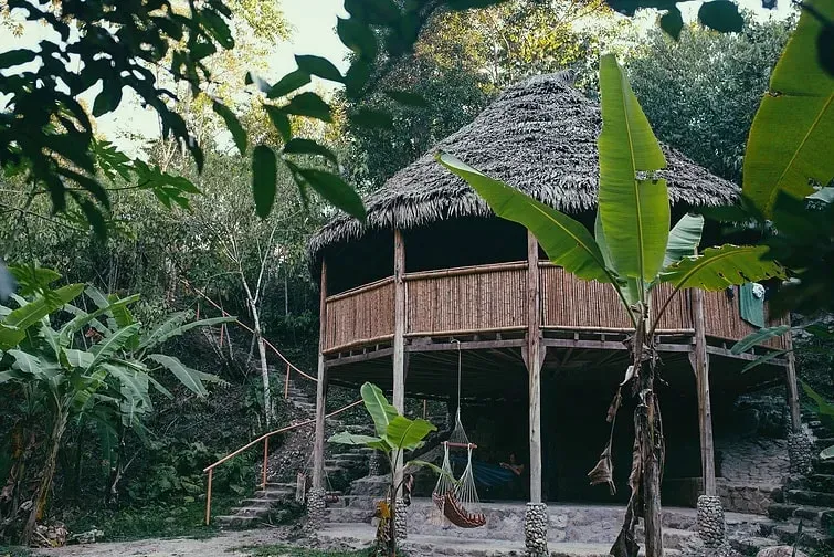 The Garden of Peace, Ayahuasca & Master Plant Center — The Garden of Peace is situated in a lush, remote valley where the Andes converge with the Amazon jungle. The atmosphere is one of profound tranquility and connection to nature, with a river running through the land and individual guest huts set amongst the greenery. It's a place designed for noble silence, deep meditation, and personal transformation.