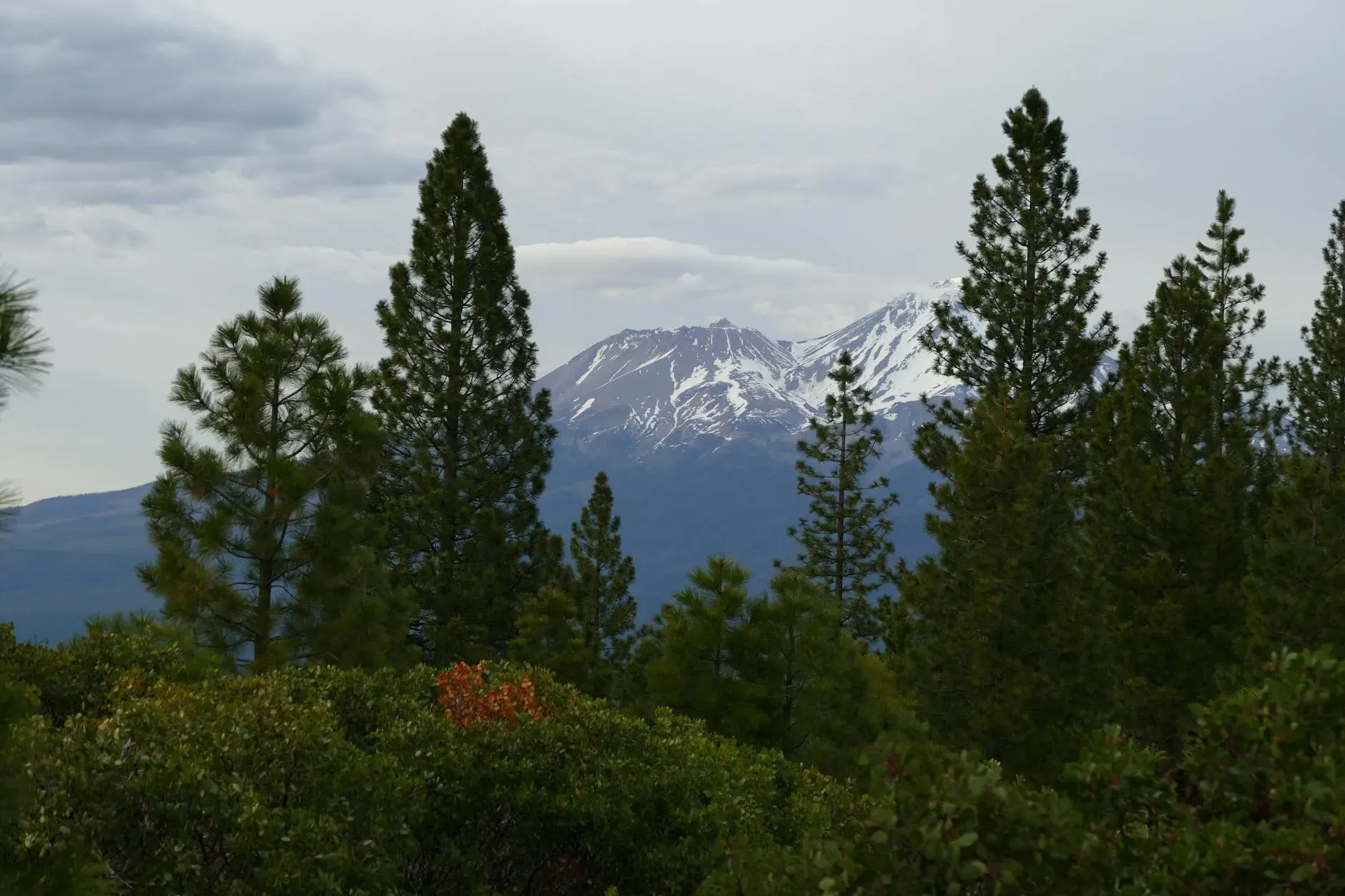 The Quantum Light — Retreats at The Quantum Light unfold amidst the breathtaking landscapes surrounding Mount Shasta, offering a deep connection with nature. Additionally, some sessions take place in carefully selected, welcoming venues in the heart of downtown Mount Shasta, providing a blend of natural immersion and local charm.