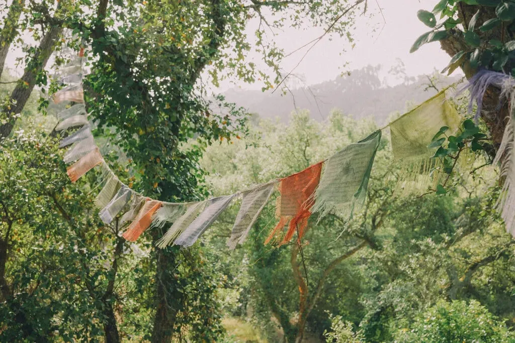 The Reconnection — The Shanti Space is set in a serene forest, right on the edge of a national park in Portugal. This tranquil location feels wonderfully secluded, offering a peaceful escape from the demands of everyday life. The natural surroundings are designed to encourage deep relaxation and a sense of calm, providing an ideal backdrop for introspection and reconnection.