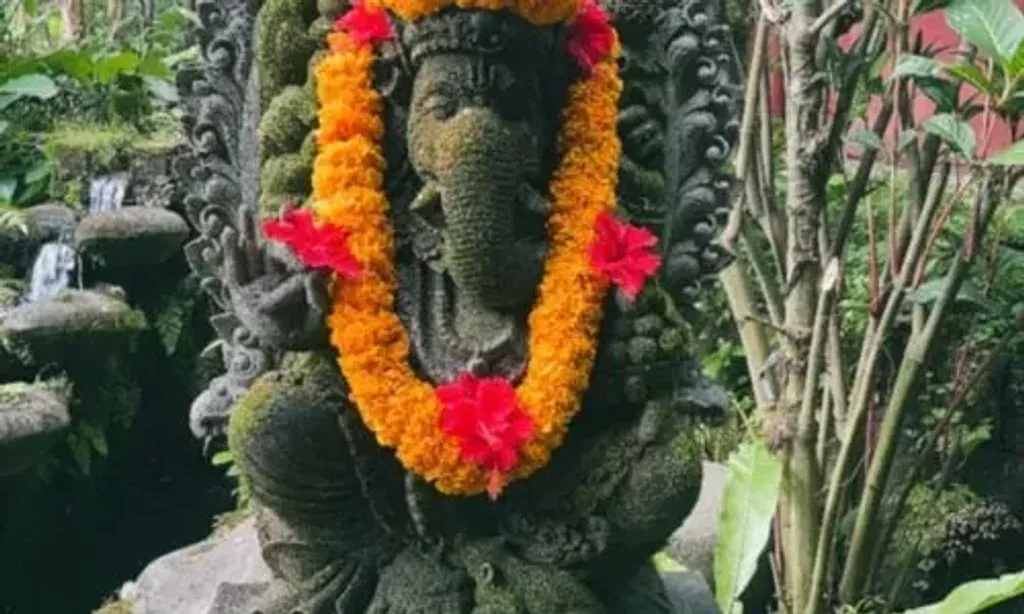 The Serpent Path — Located in Manggis, Bali, the center provides a serene backdrop for deep introspection and healing. The natural beauty of Bali, known for its lush landscapes and spiritual ambiance, creates an ideal environment for connecting with plant medicine.