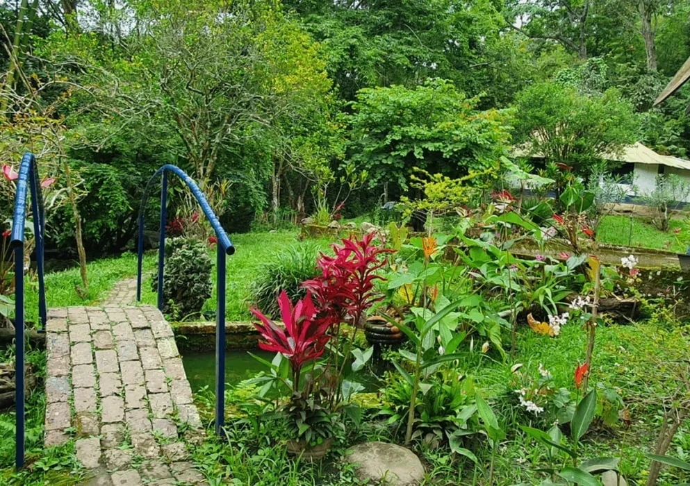 The Temple Spaces — The retreats are held in the Colombian countryside near Tena, a region steeped in the tradition of Yagé. This sacred land provides a powerful backdrop for deep introspection and connection, away from the distractions of daily life.