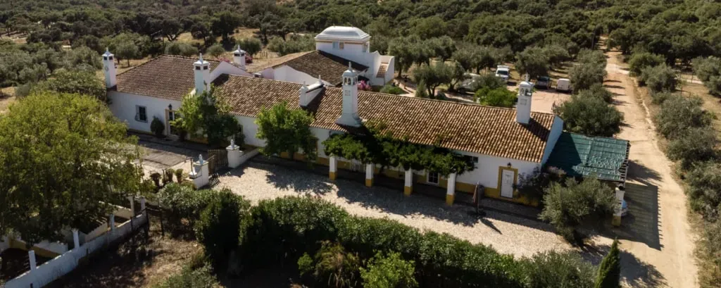 The Writers Guild of Berlin — The Monte da Japónica Estate is set in the foothills of the Serra d’Ossa, a small mountain range in the southern plains of Portugal's Alentejo region. This area is characterized by its unique ecosystem of cork forests, teeming with diverse flora and fauna, providing a serene and inspiring natural environment.