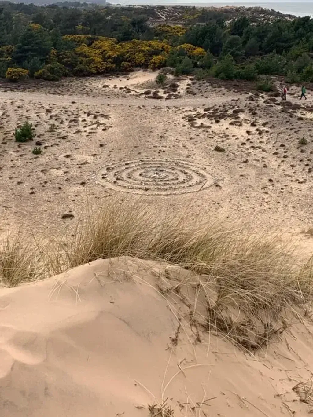 Theatre of the 7 Directions — Located within the international Findhorn Ecovillage, the setting is rural and coastal, offering a beautiful backdrop of the Scottish Highlands. While there isn't a single dedicated center, activities take place in various rented spaces, as well as directly in the natural environment of the woods and beaches, providing a dynamic and immersive experience.